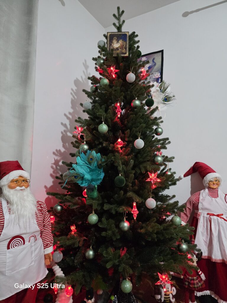 Image #1 from Nicoleta Hurmuzache