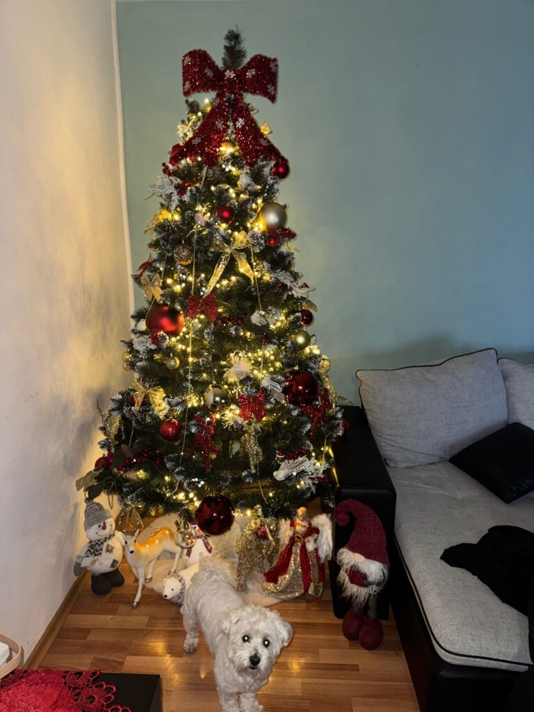 Image #1 from Alexandra O.