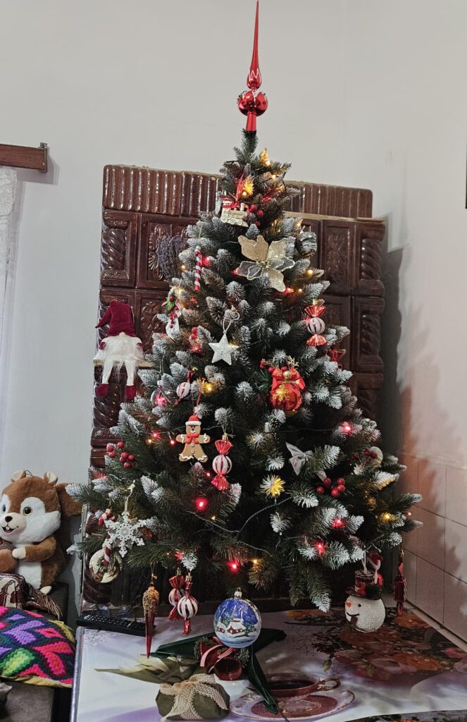 Image #1 from Camelia S.