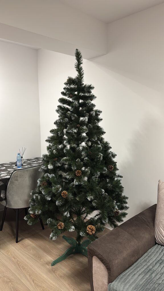 Image #1 from Andreea N.