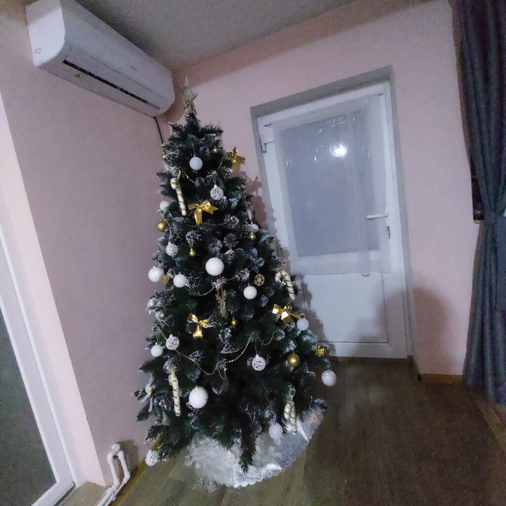 Image #2 from Ana Maria Nancu