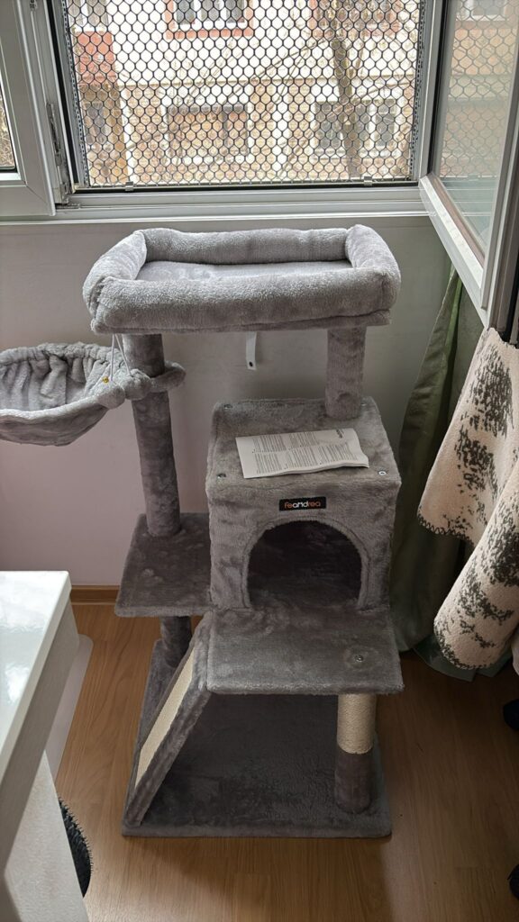 Image #3 from Simona L.