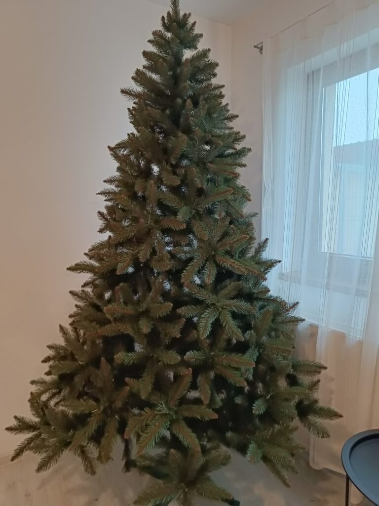 Image #2 from Georgiana D.