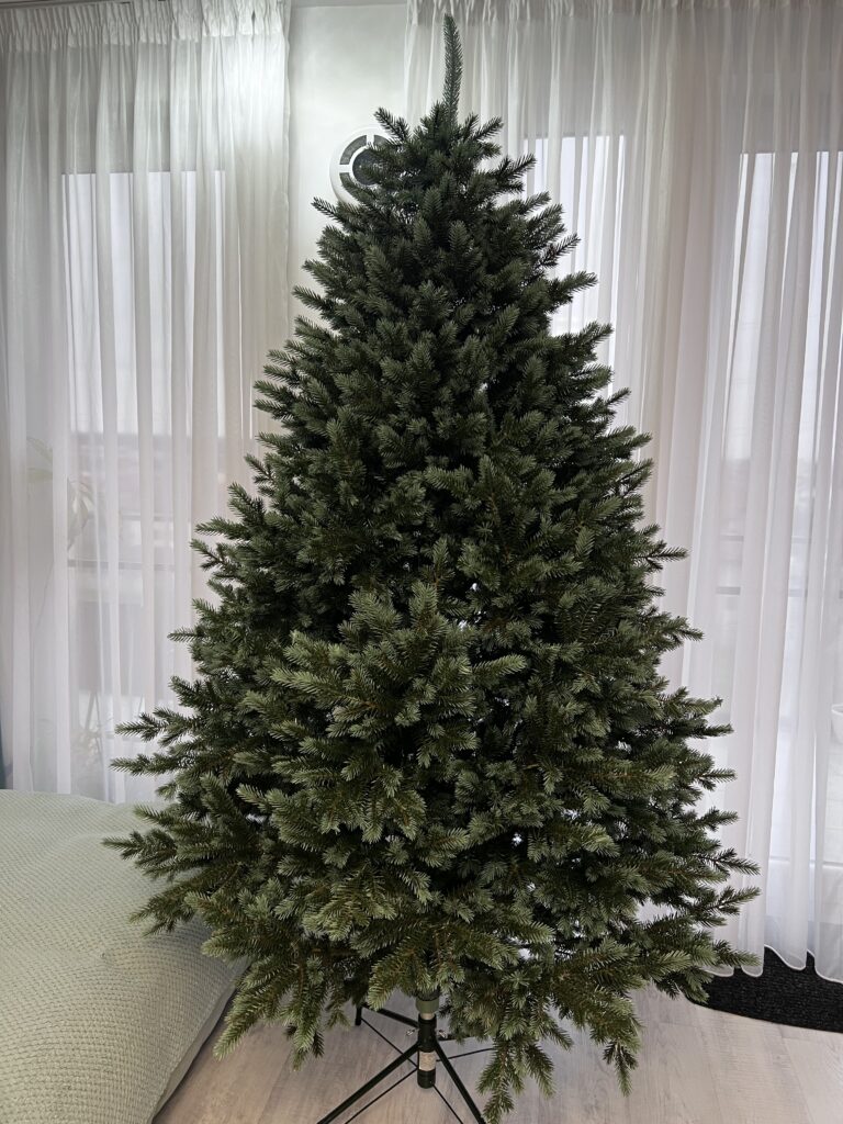 Image #3 from Mihaela Chiru