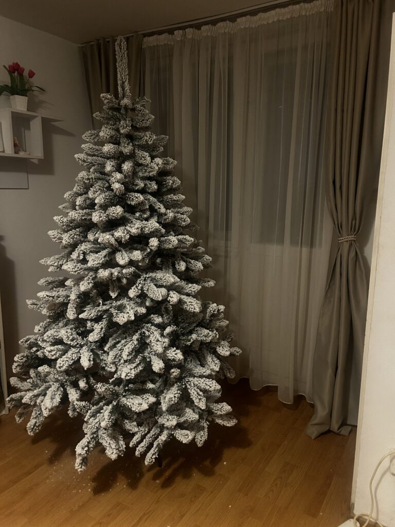 Image #1 from Nina P.