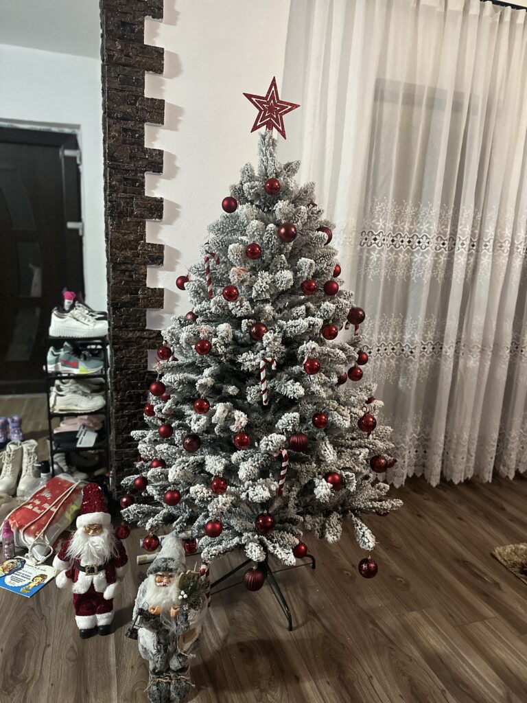 Image #1 from Badica Georgiana