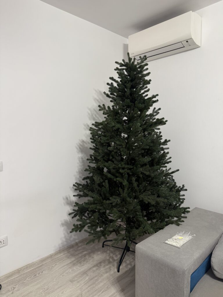 Image #1 from Petrov B.