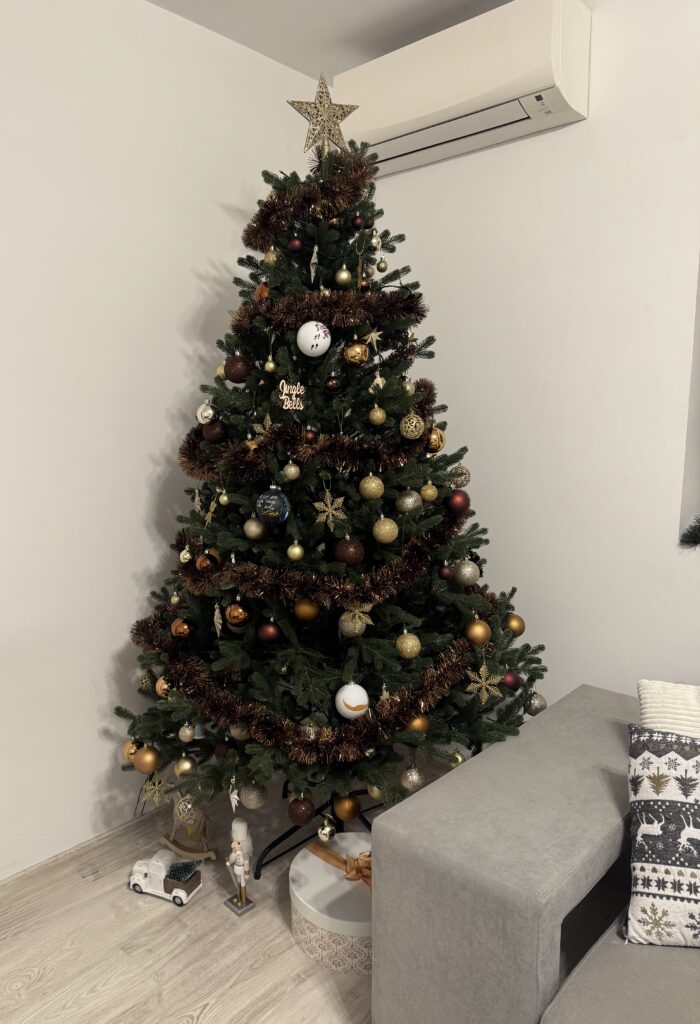 Image #2 from Petrov B.