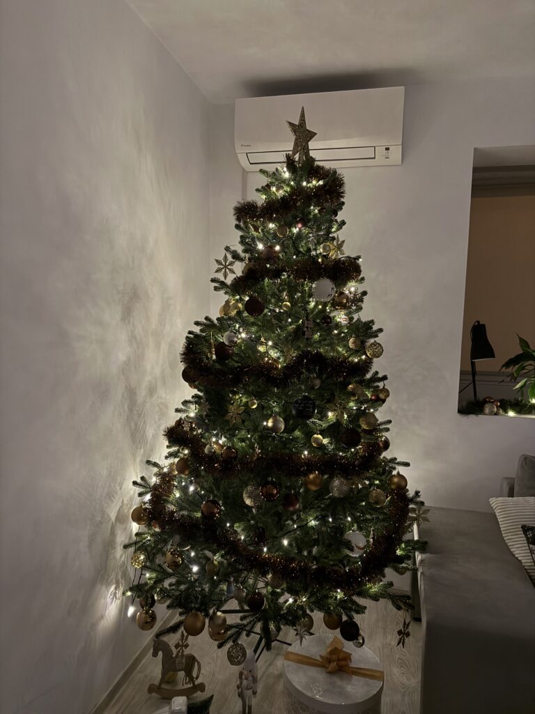 Image #3 from Petrov B.