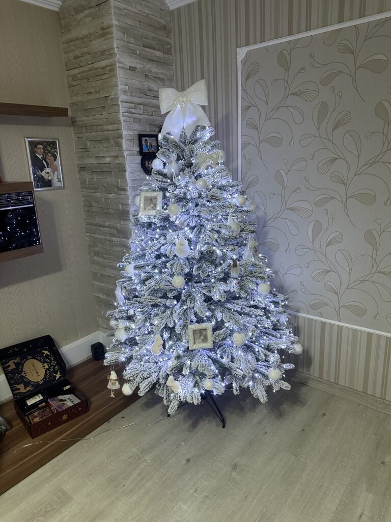 Image #2 from Alina N.