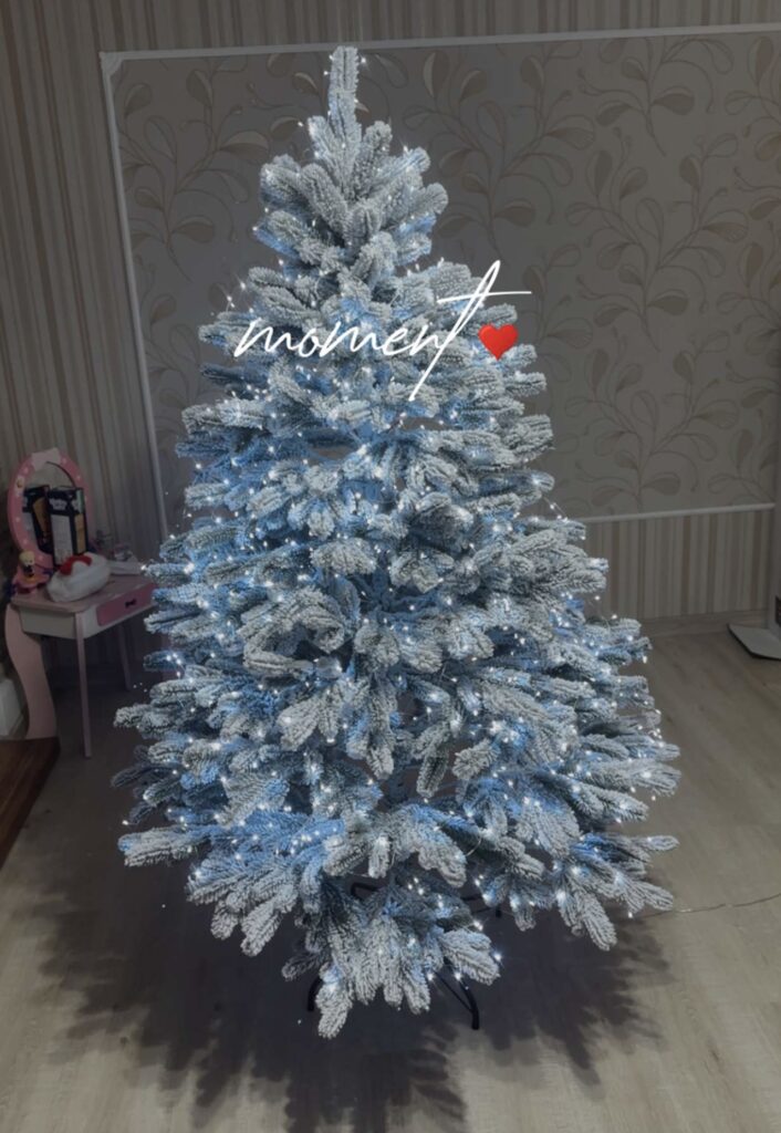 Image #1 from Alina N.