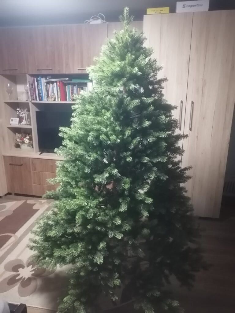 Image #2 from Edith Sofalvi