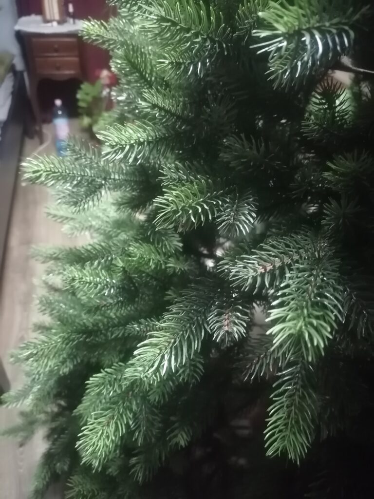 Image #1 from Edith Sofalvi