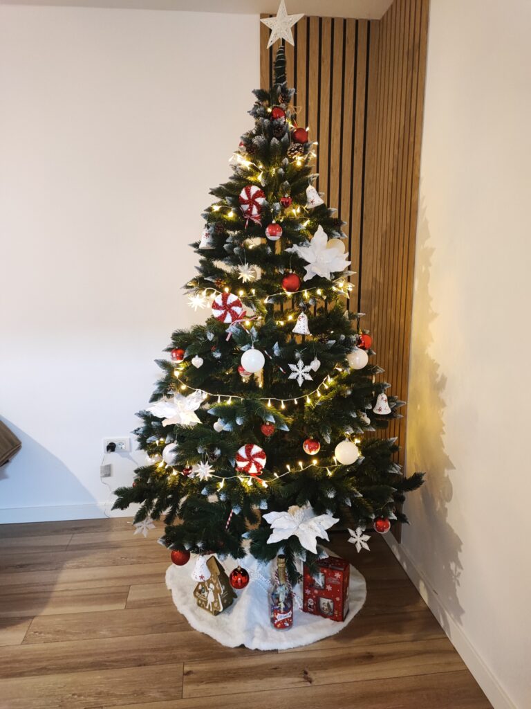 Image #1 from Tirtea R.