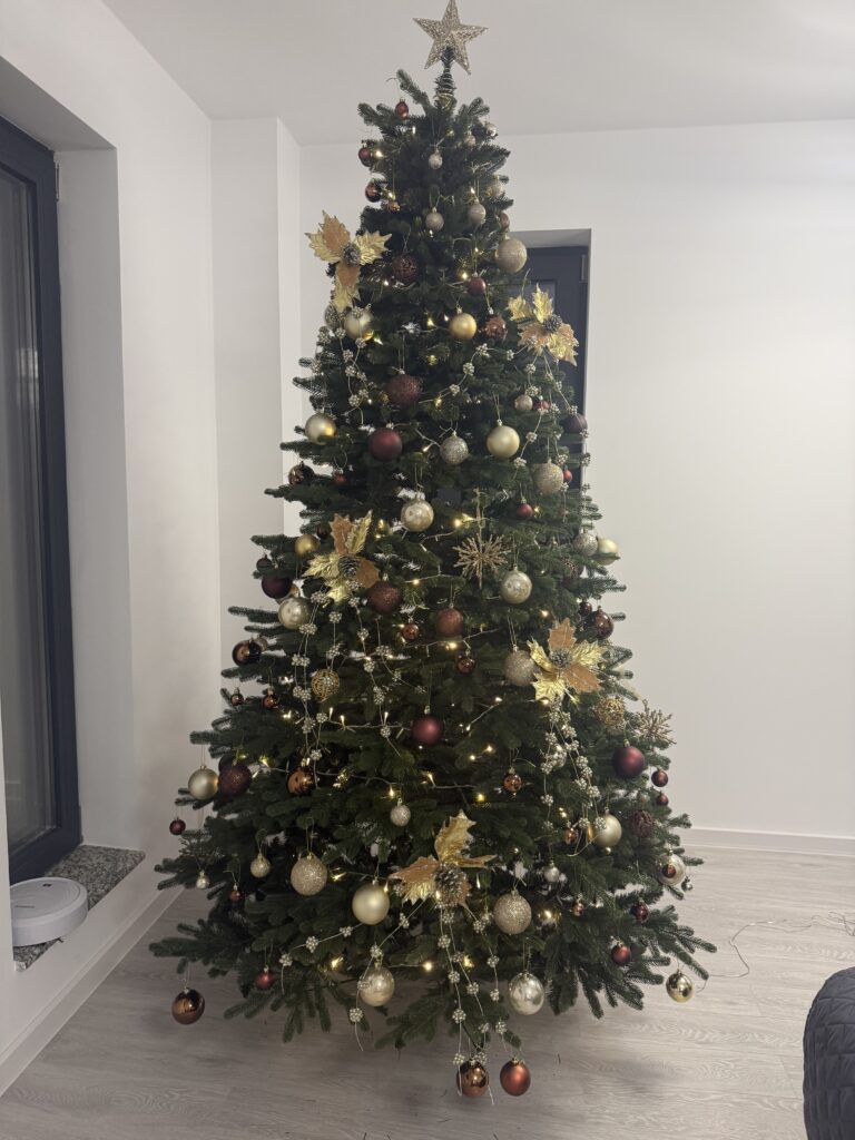 Image #1 from Madalina R.