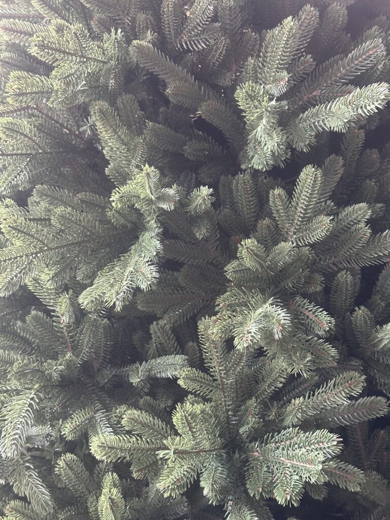 Image #2 from Anonymous