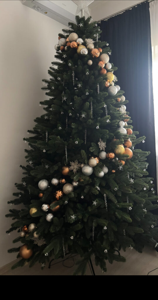 Image #1 from Madalina R.