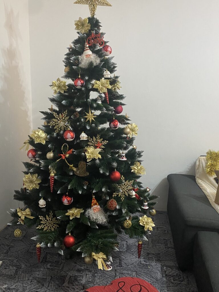 Image #1 from Maria Mirela Grozavu