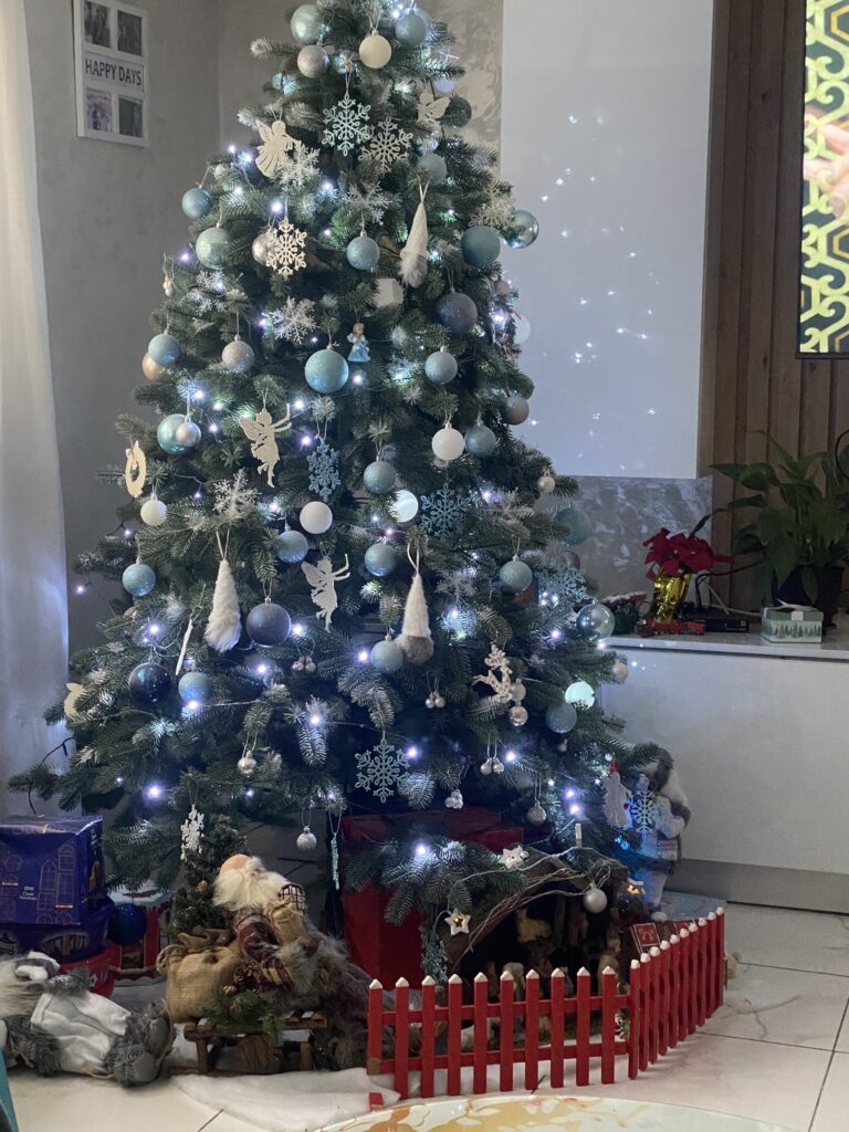 Image #1 from Andreea Farcas