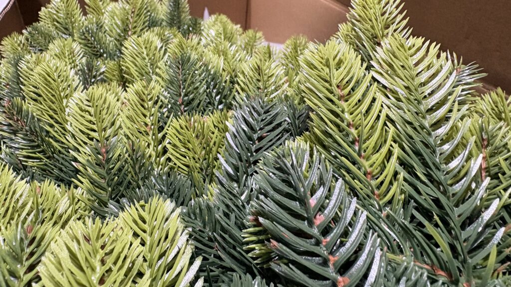 Image #1 from Daniel S.