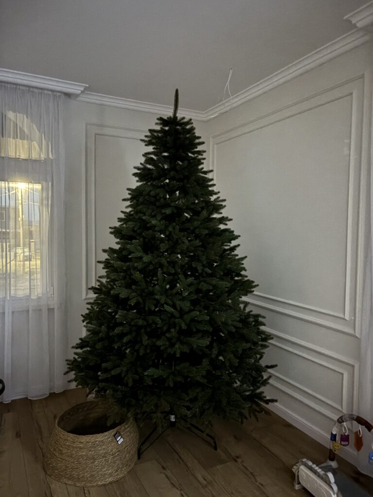 Image #5 from Adriana Stefan