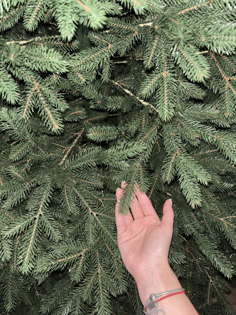 Image #3 from Adriana Stefan