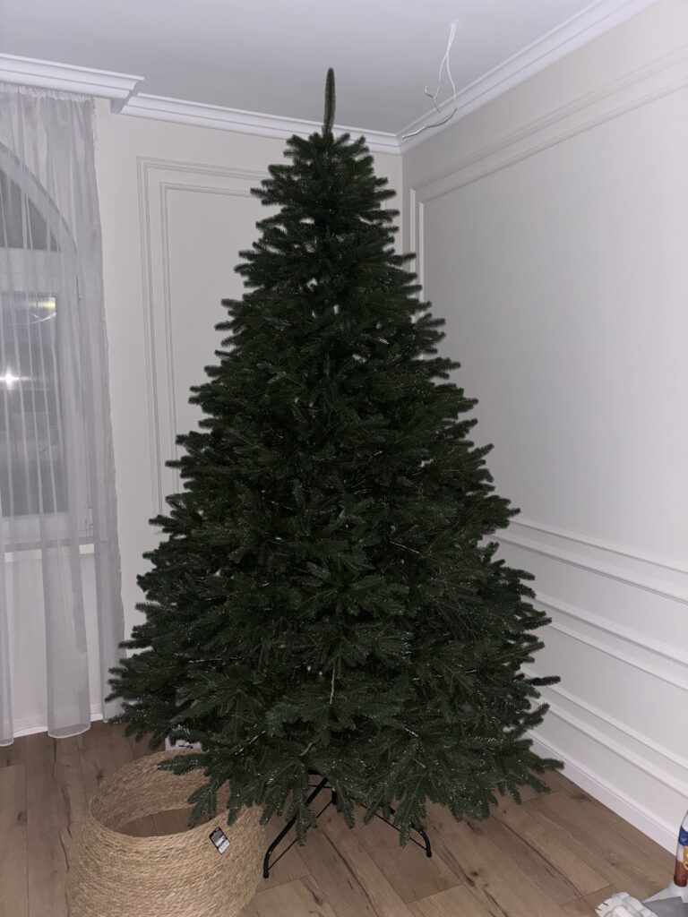 Image #4 from Adriana Stefan