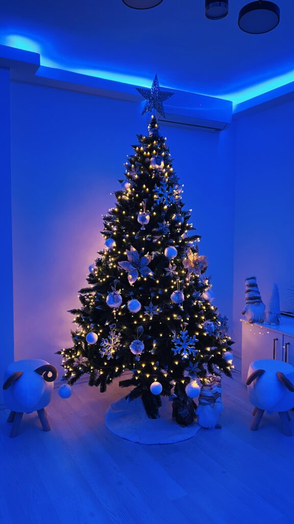 Image #2 from Raluca B.