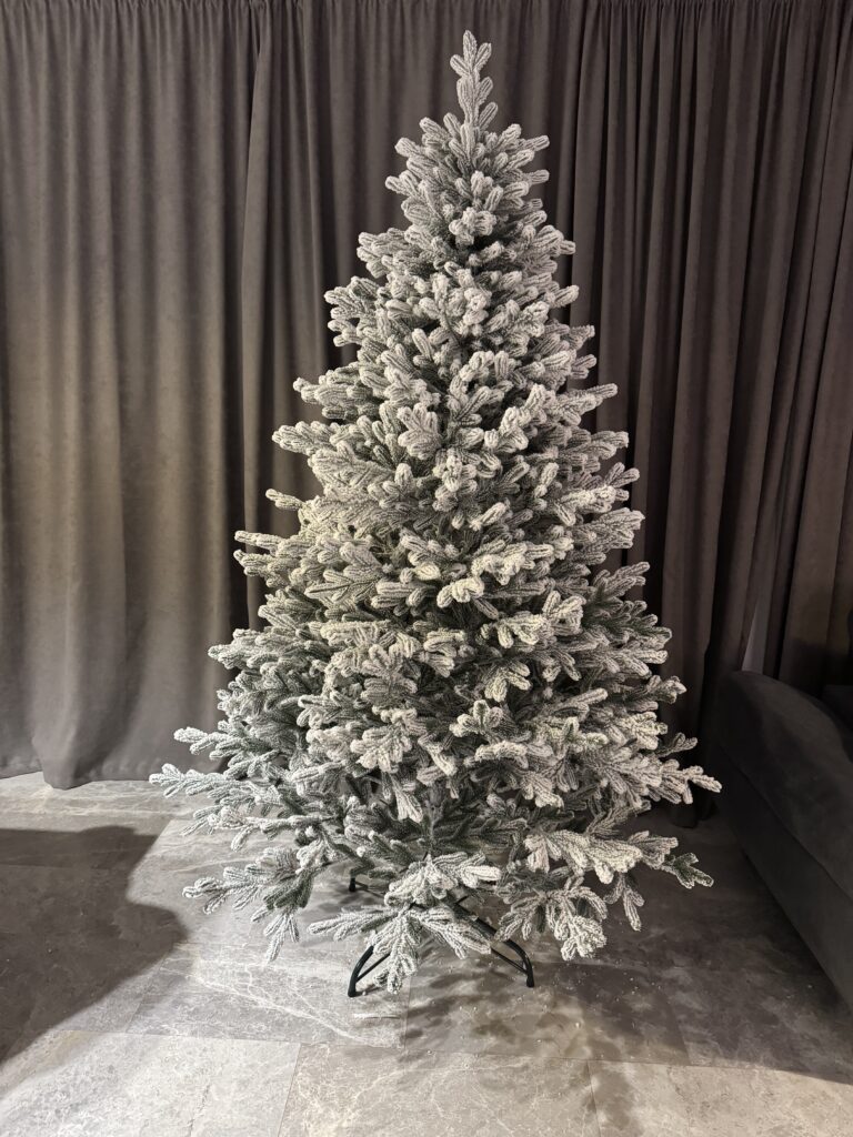 Image #3 from Romina Crisan