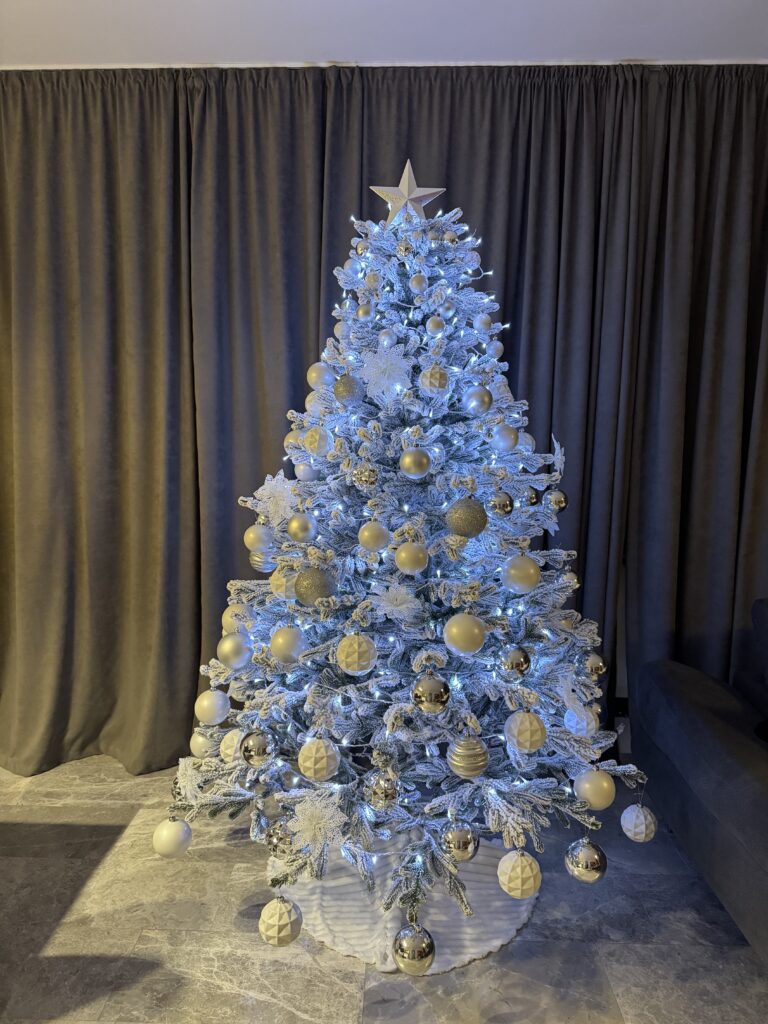 Image #2 from Romina Crisan