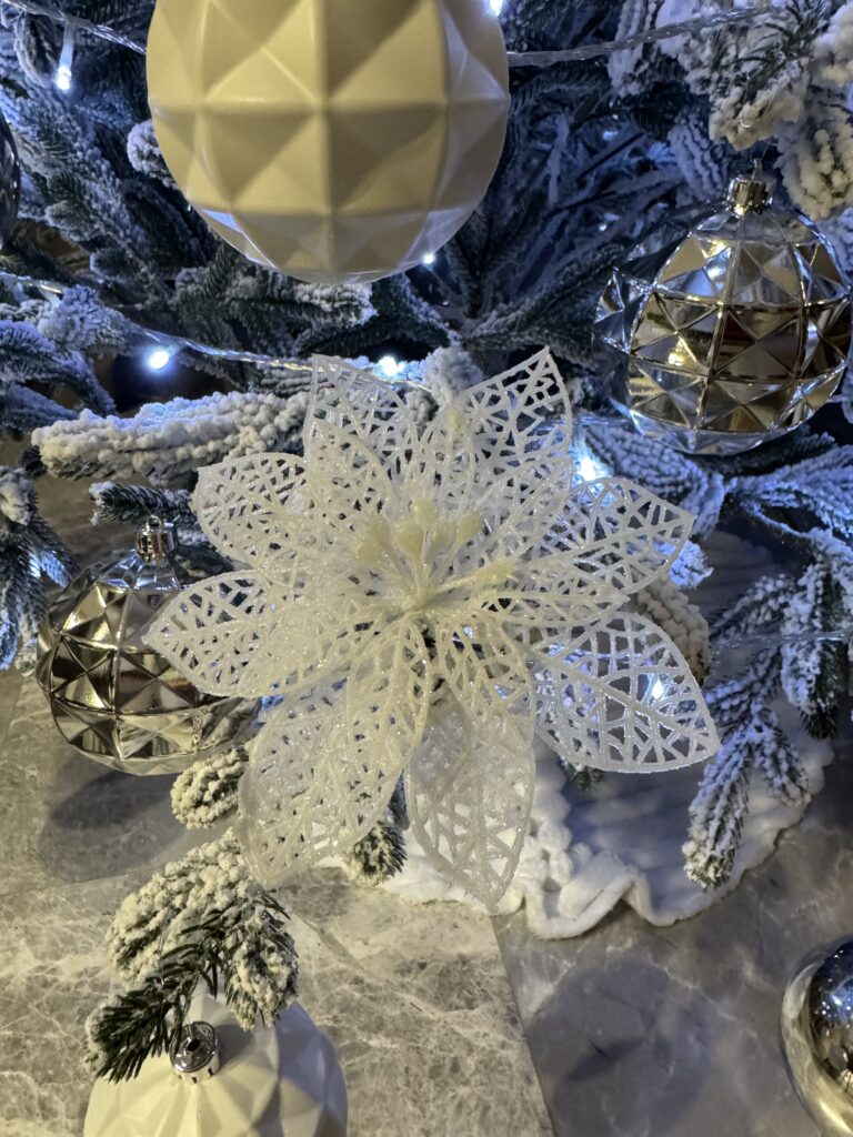 Image #1 from Romina Crisan