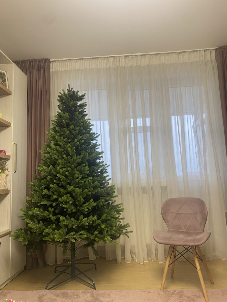 Image #1 from Roxana C.