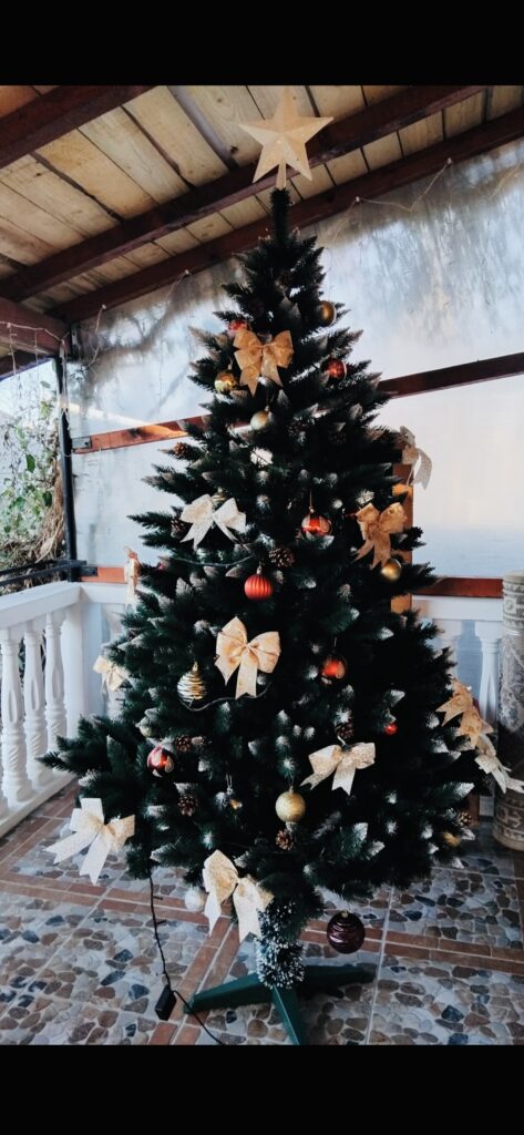 Image #1 from Daniela D.