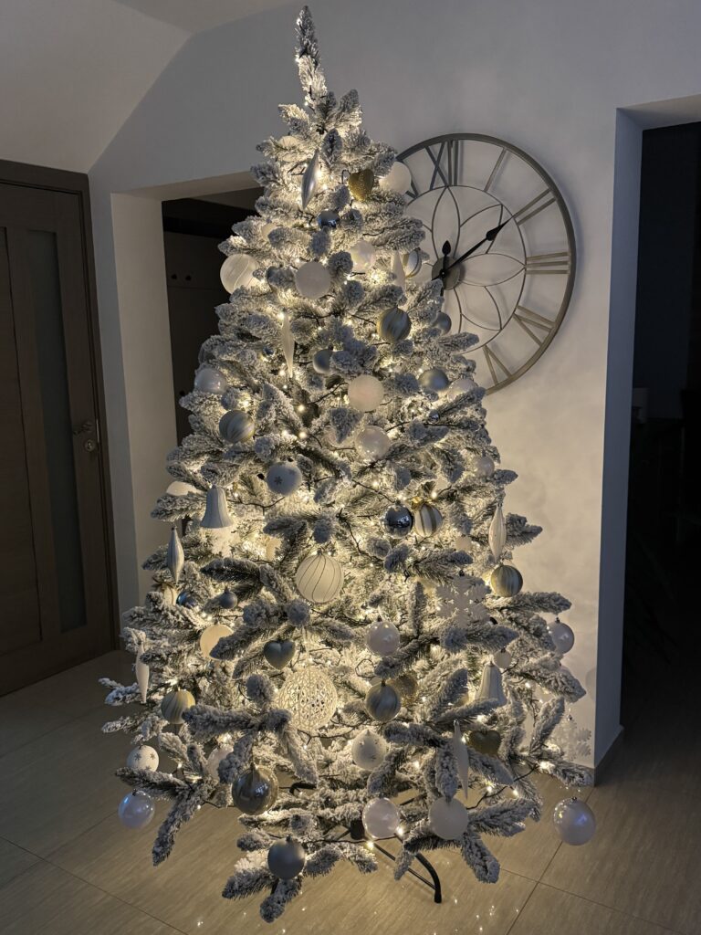 Image #1 from Alina C.