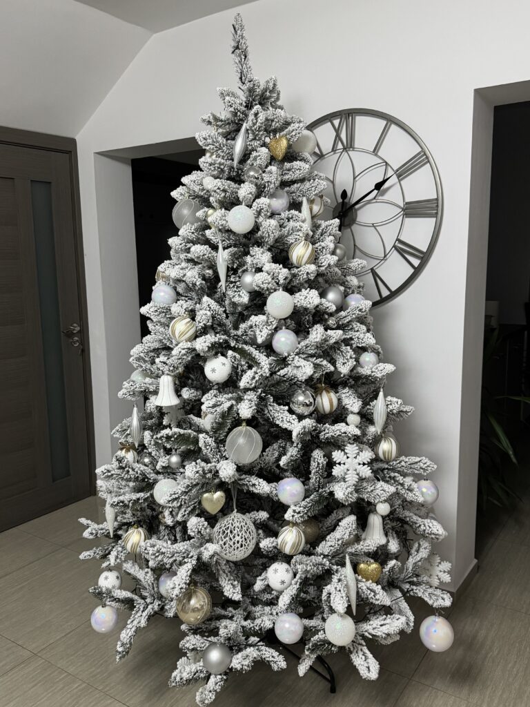 Image #2 from Alina C.