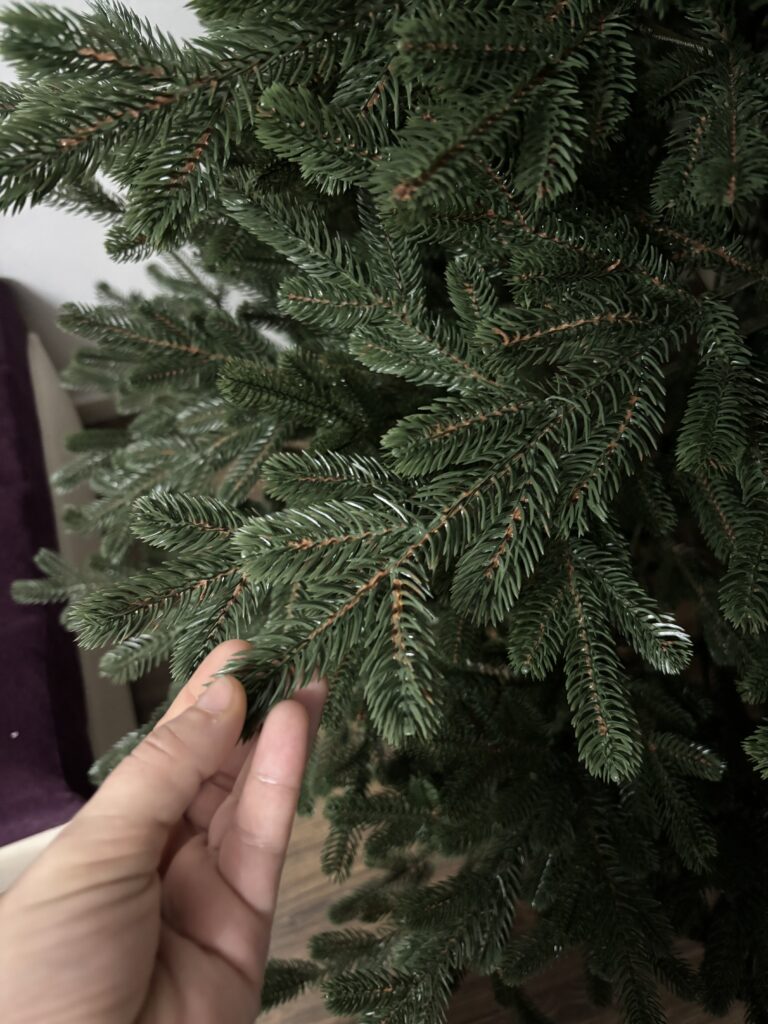 Image #1 from Branzea A.