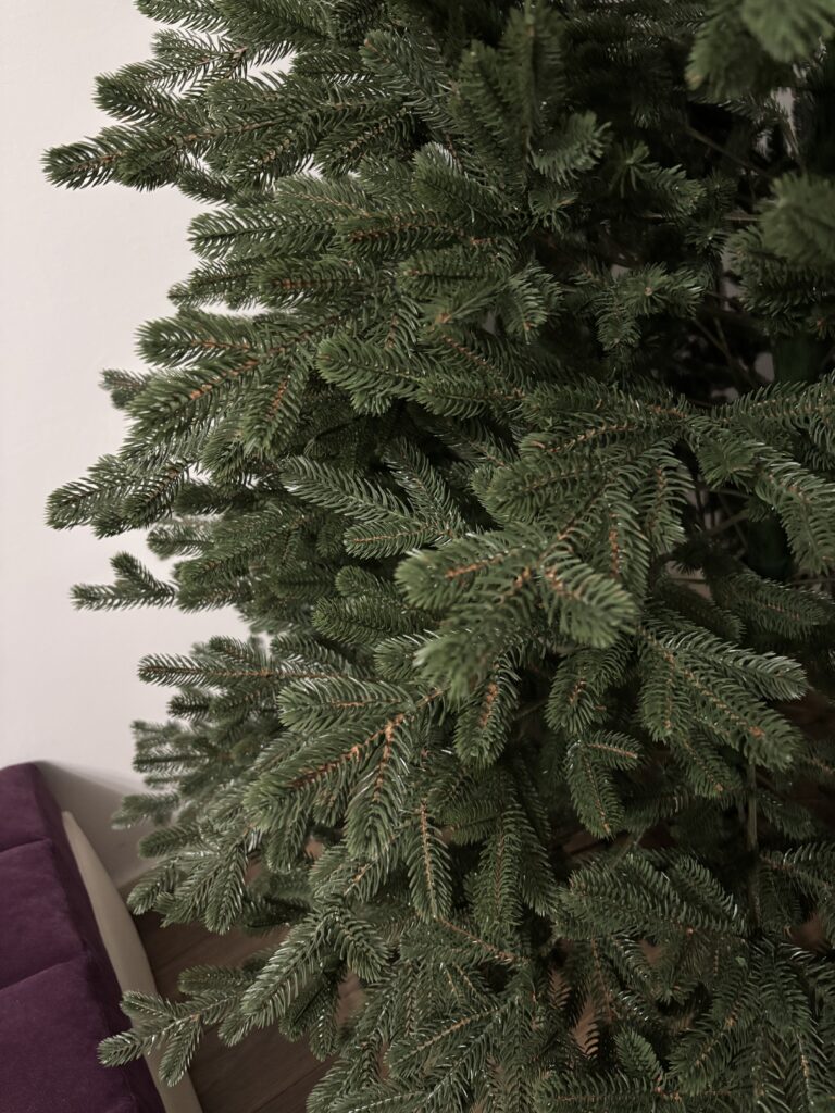 Image #2 from Branzea A.