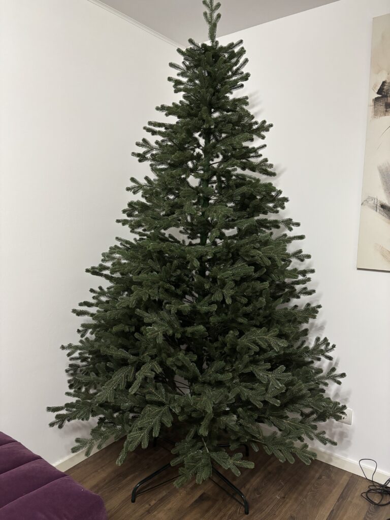 Image #3 from Branzea A.