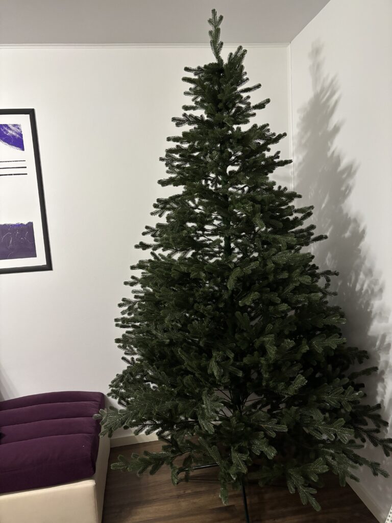 Image #5 from Branzea A.