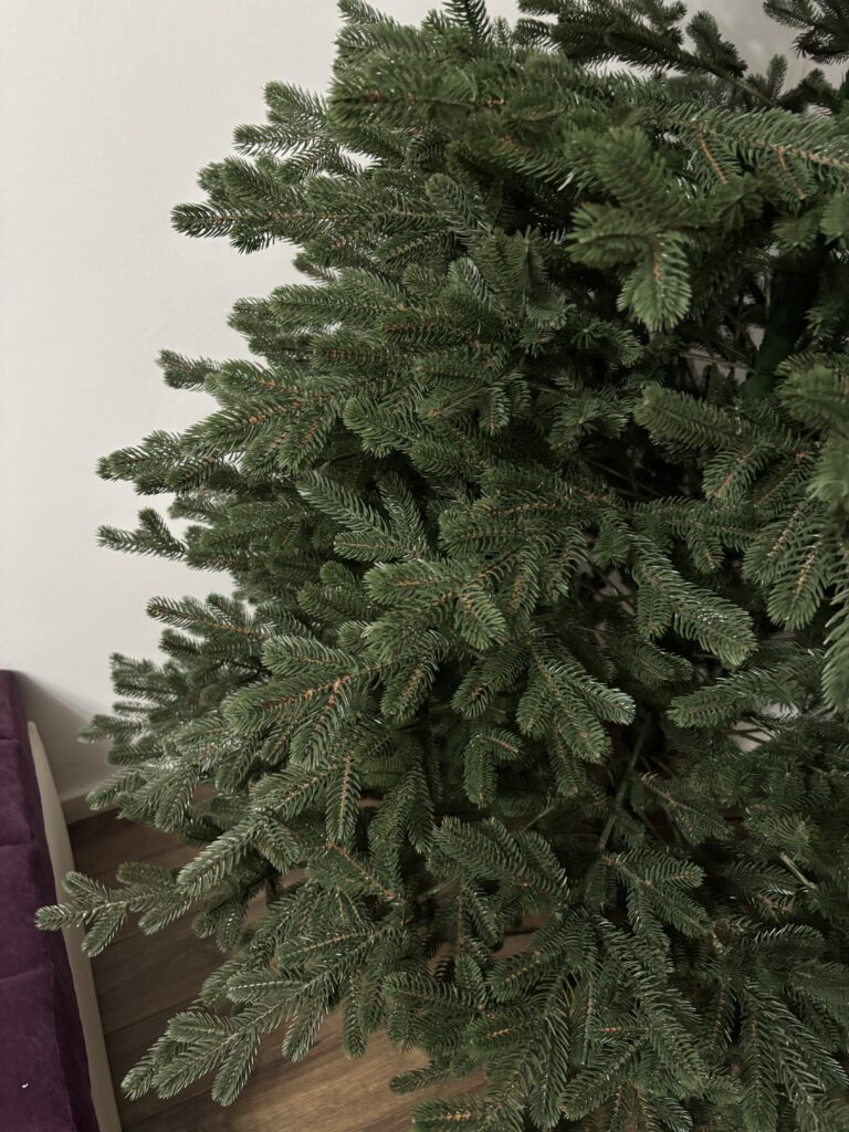 Image #4 from Branzea A.