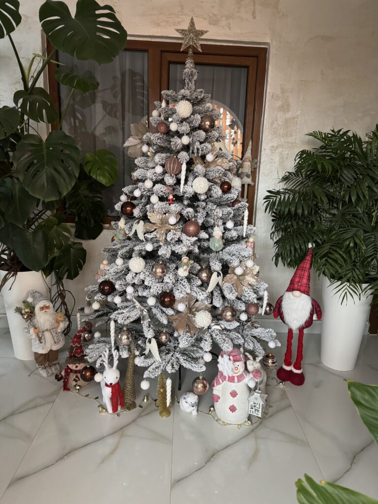 Image #1 from Anonymous