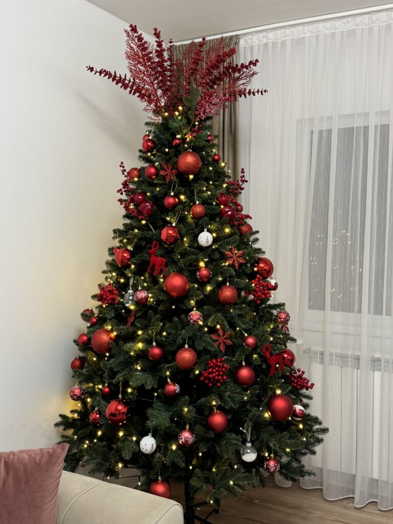 Image #1 from Catalina