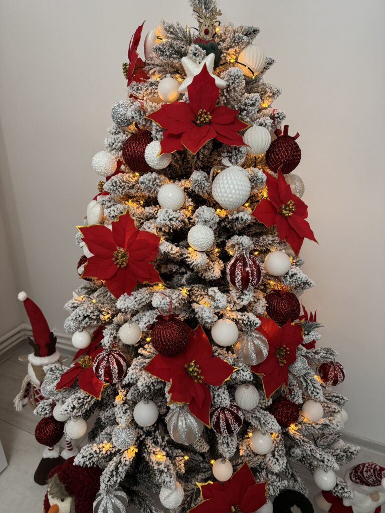 Image #1 from Eugenia S.