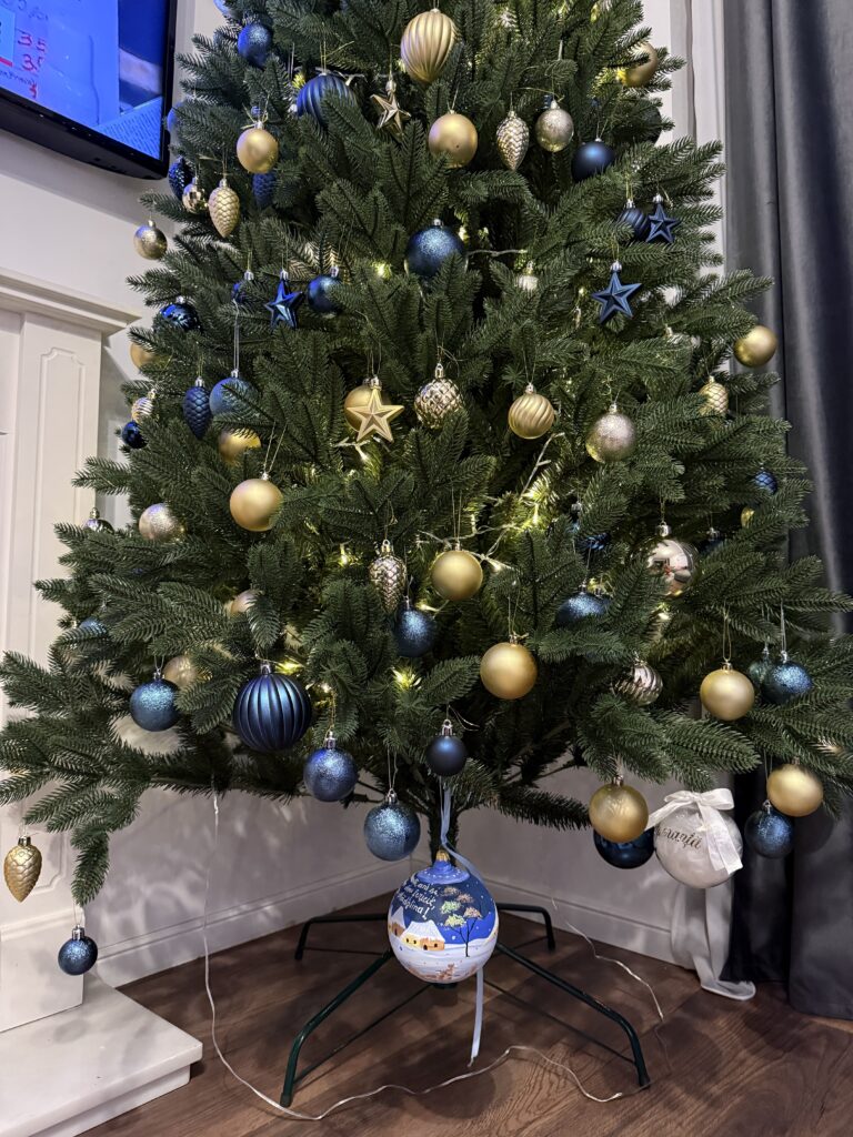 Image #2 from Turcu M.