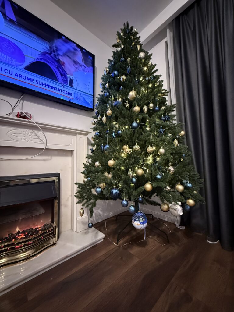 Image #1 from Turcu M.