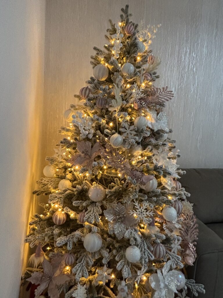 Image #1 from Otava Monica