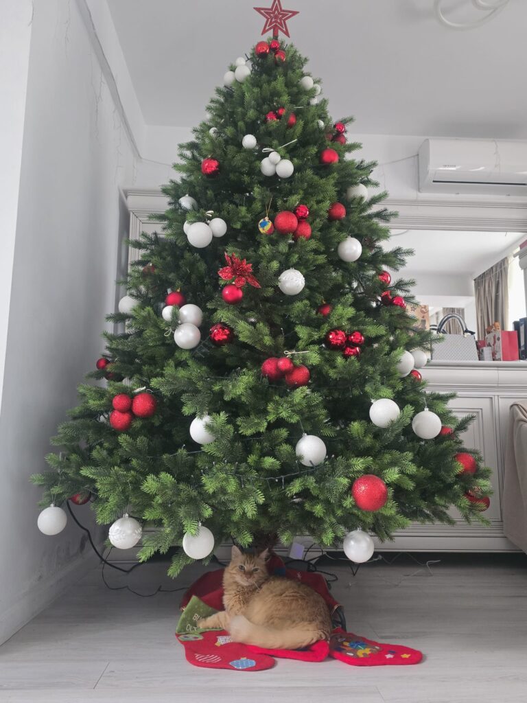 Image #1 from Anonymous