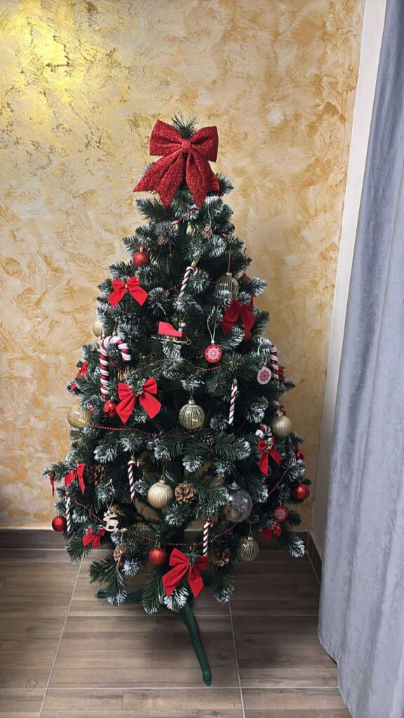 Image #1 from Loredana Andron