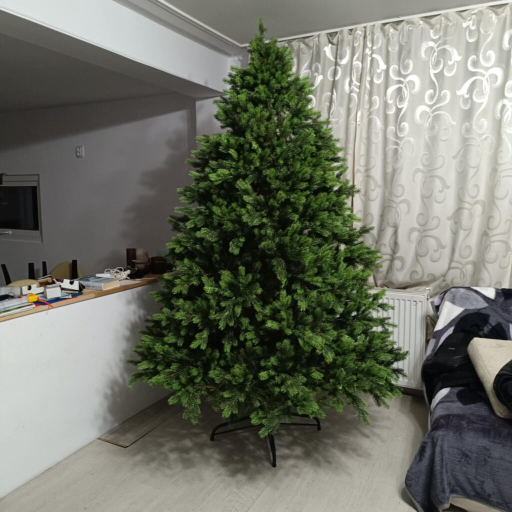 Image #1 from Oana Andreea Iacob