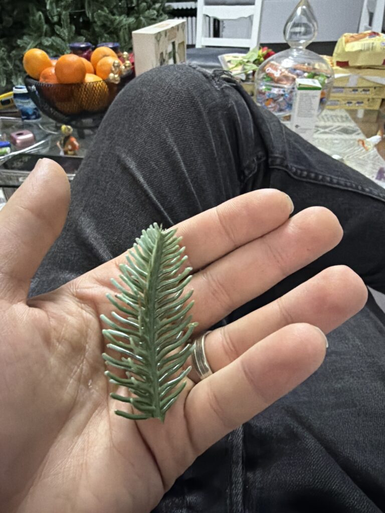 Image #1 from Gheorghe I.